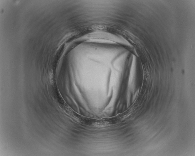 X0000076220556200610191535