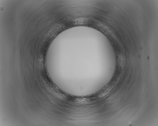 X0000076220557200610191535