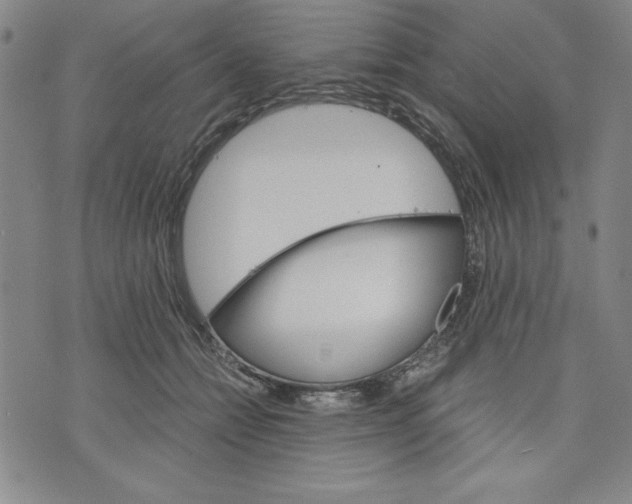 X0000076220558200610191535