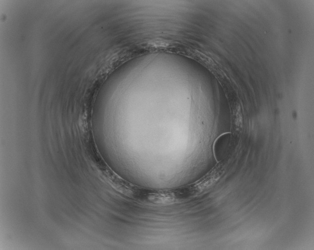 X0000076220559200610191535