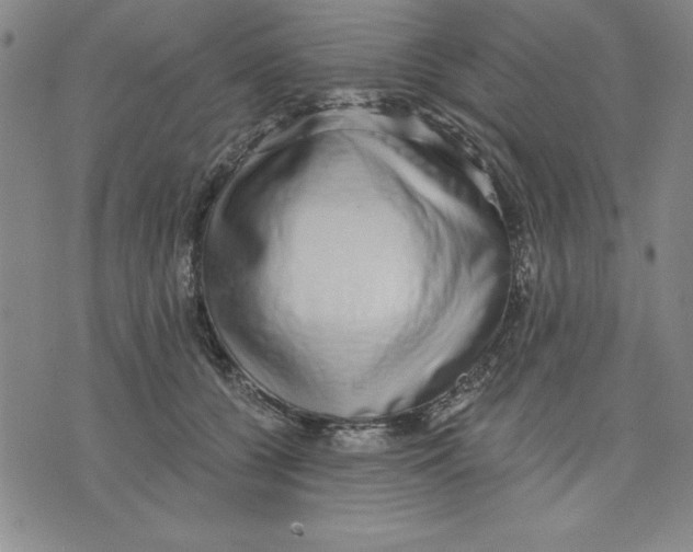 X0000076220560200610191535