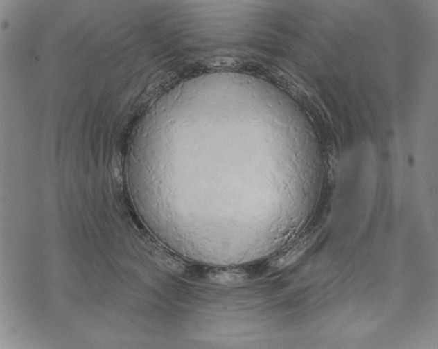 X0000076220561200610191535