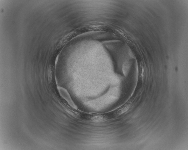 X0000076220562200610191535