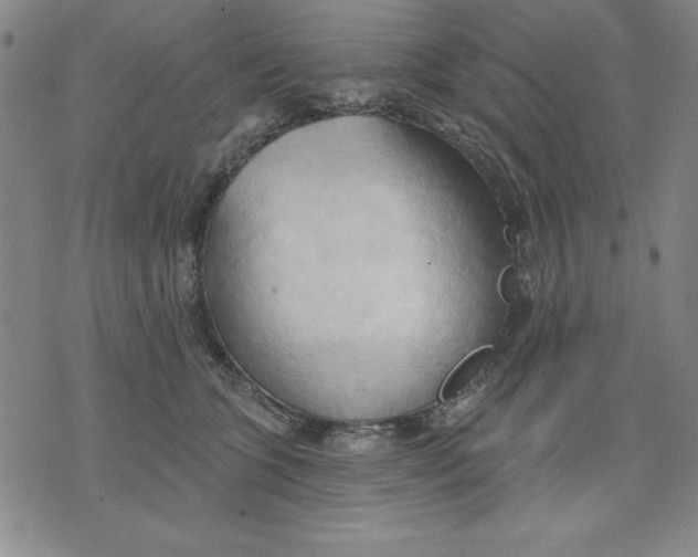 X0000076220563200610191535