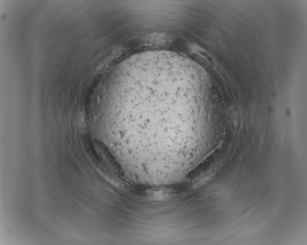 X0000076220564200610191535