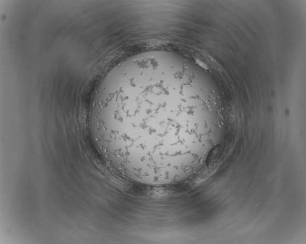 X0000076220565200610191536