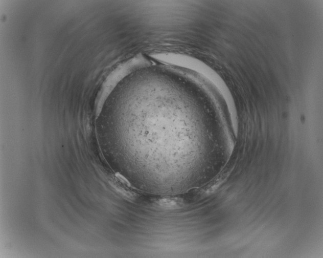 X0000076220566200610191536