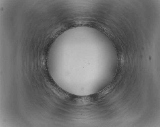 X0000076220567200610191536