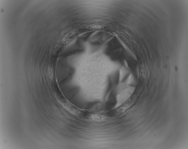 X0000076220568200610191536