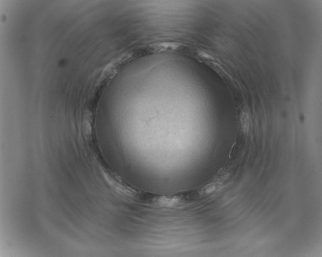 X0000076220570200610191536