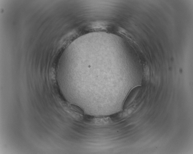 X0000076220571200610191536