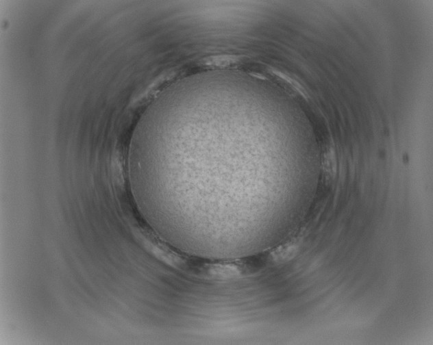 X0000076220572200610191536