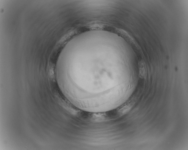 X0000076220573200610191536