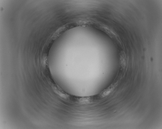 X0000076220574200610191536