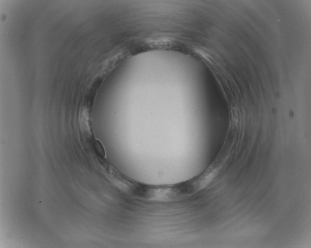 X0000076220575200610191536