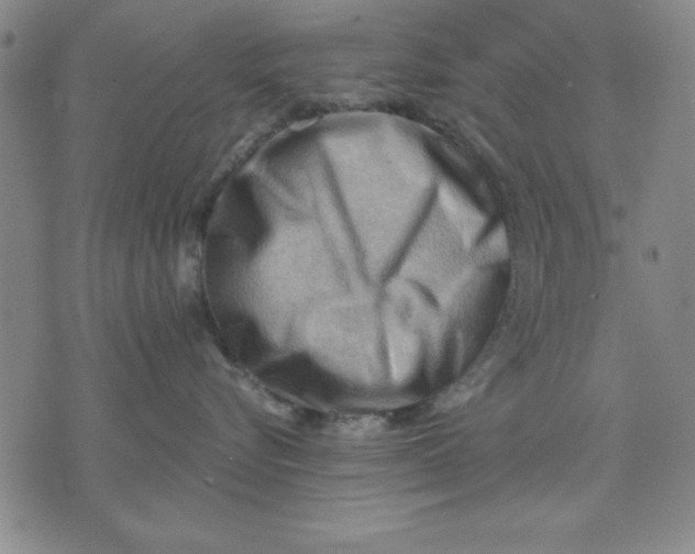 X0000076220576200610191536