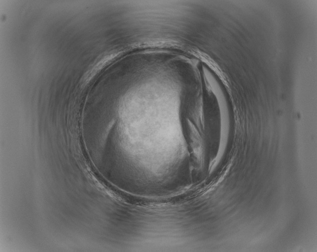 X0000076220577200610191535