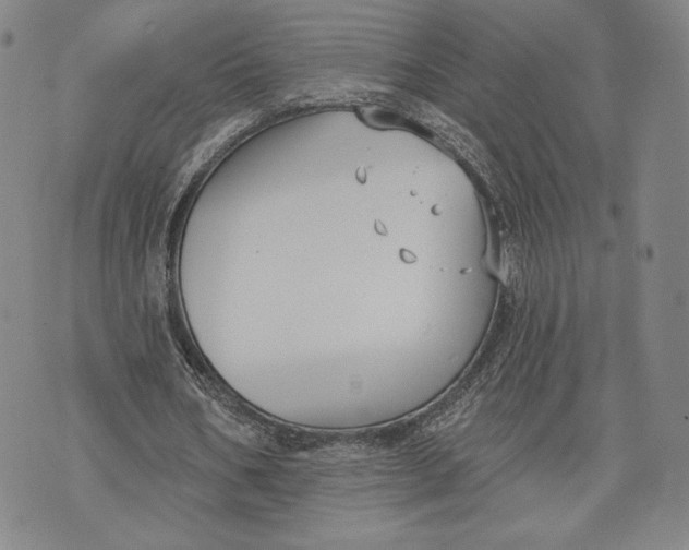 X0000076220578200610191535