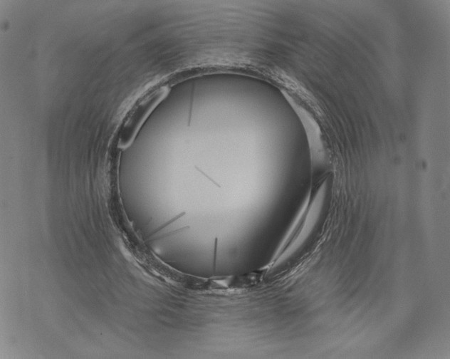 X0000076220580200610191535