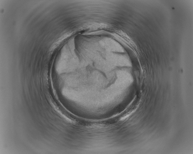 X0000076220581200610191535