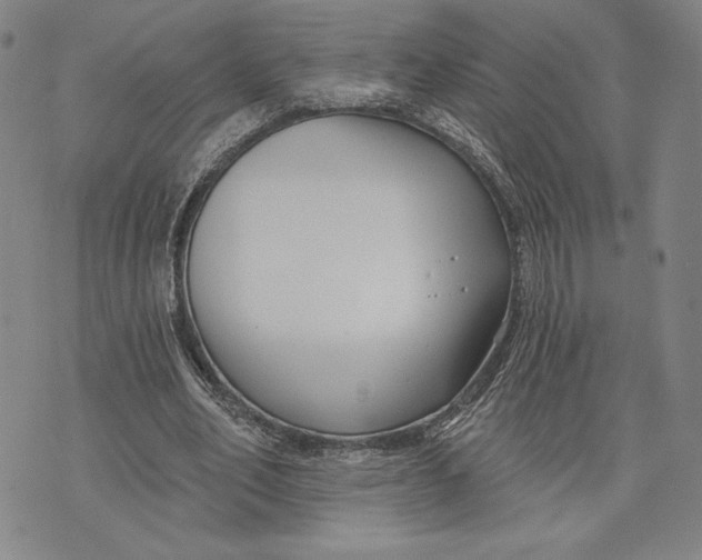 X0000076220582200610191535