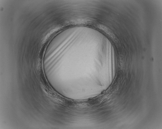 X0000076220583200610191535