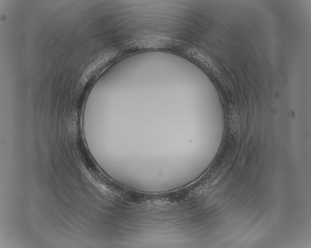 X0000076220586200610191535