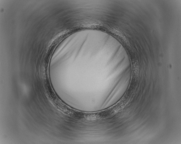 X0000076220587200610191535