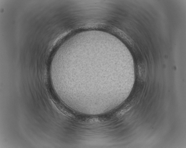 X0000076220588200610191535