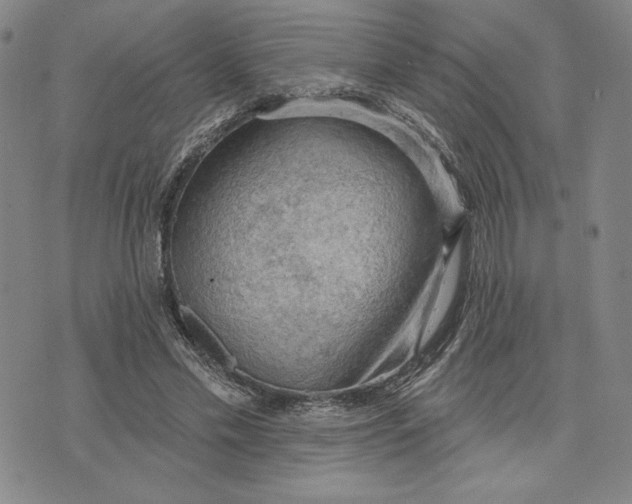 X0000076220589200610191535