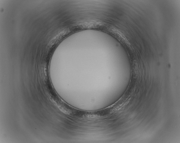 X0000076220590200610191535