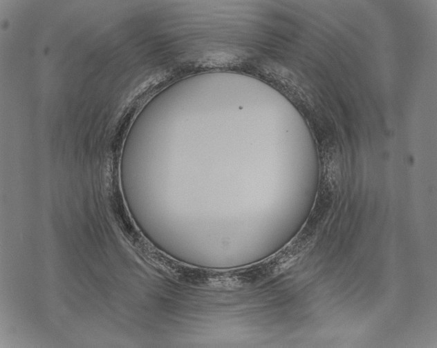 X0000076220591200610191535