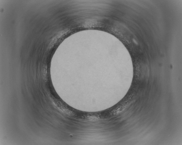 X0000076220592200610191535