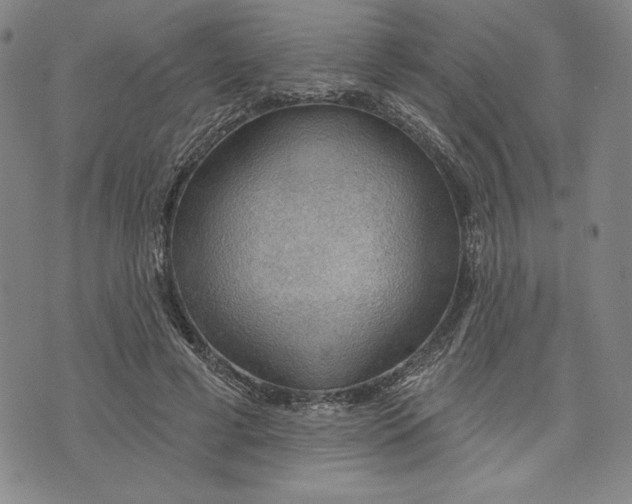 X0000076220593200610191535