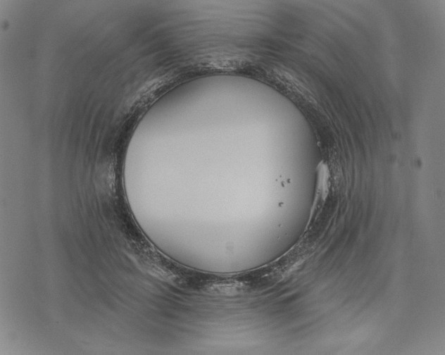 X0000076220595200610191535