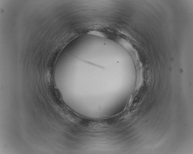 X0000076220597200610191535