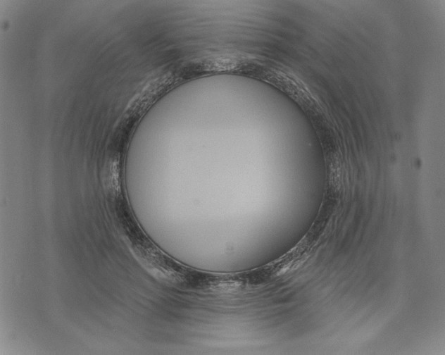 X0000076220598200610191535