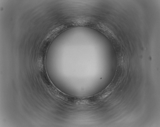 X0000076220599200610191535