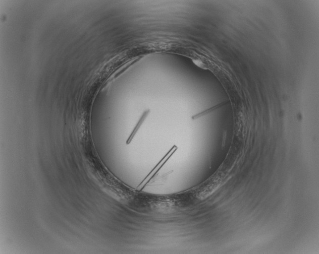 X0000076220600200610191535