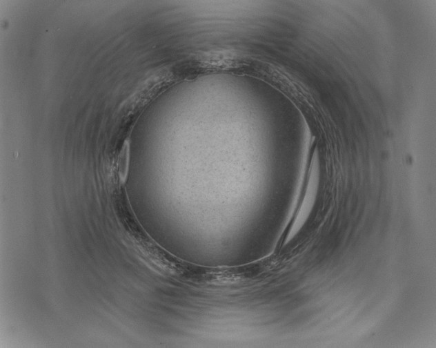 X0000076220601200610191535