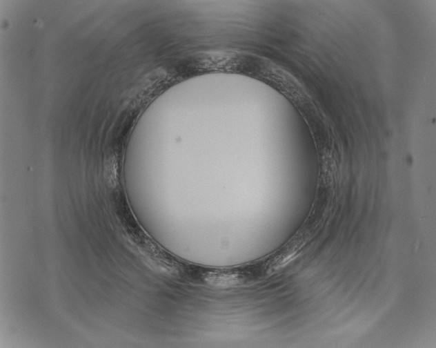 X0000076220602200610191534