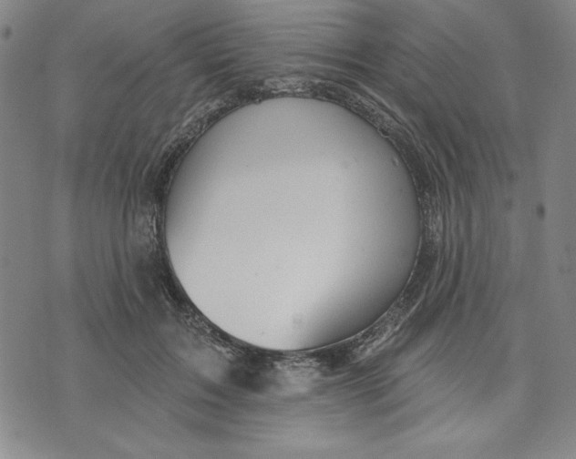 X0000076220603200610191534