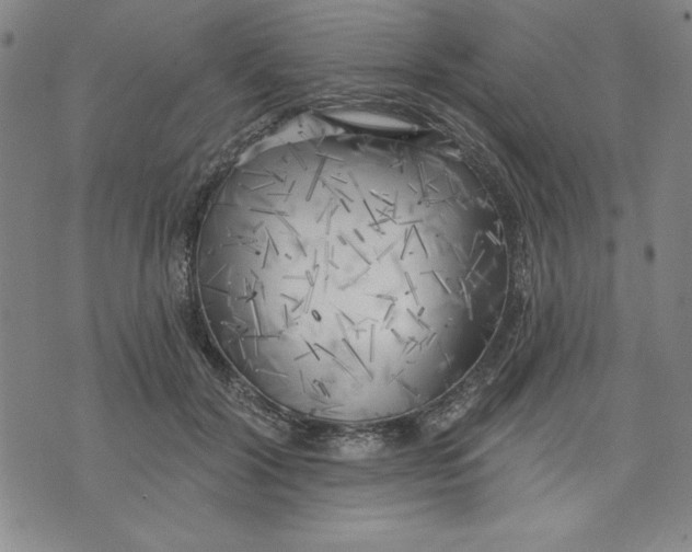 X0000076220604200610191534