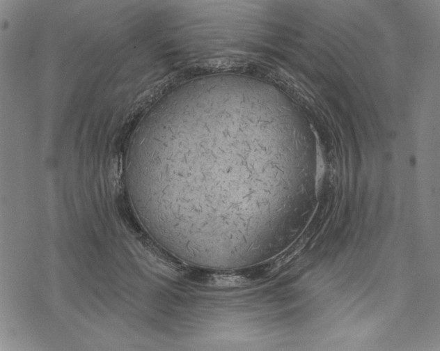 X0000076220605200610191534