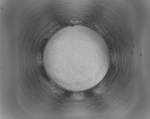 X0000076220606200610191534