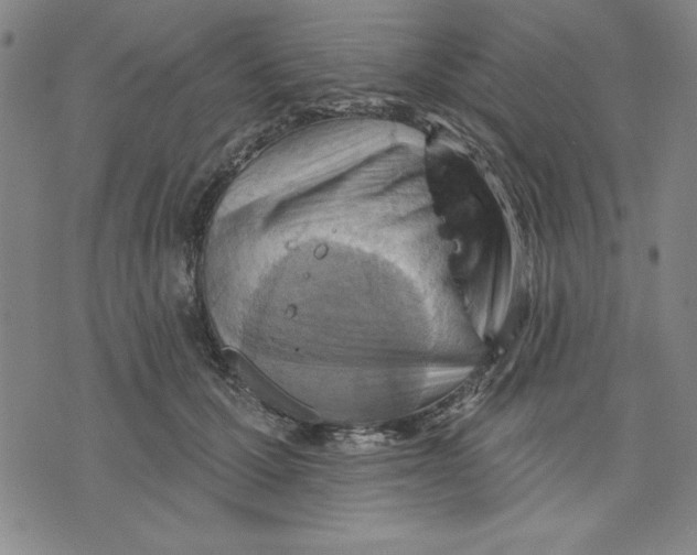 X0000076220607200610191534