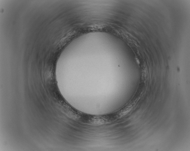 X0000076220608200610191534