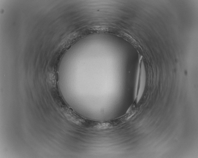 X0000076220609200610191534