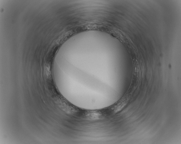 X0000076220610200610191534