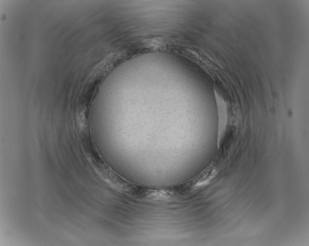 X0000076220611200610191534